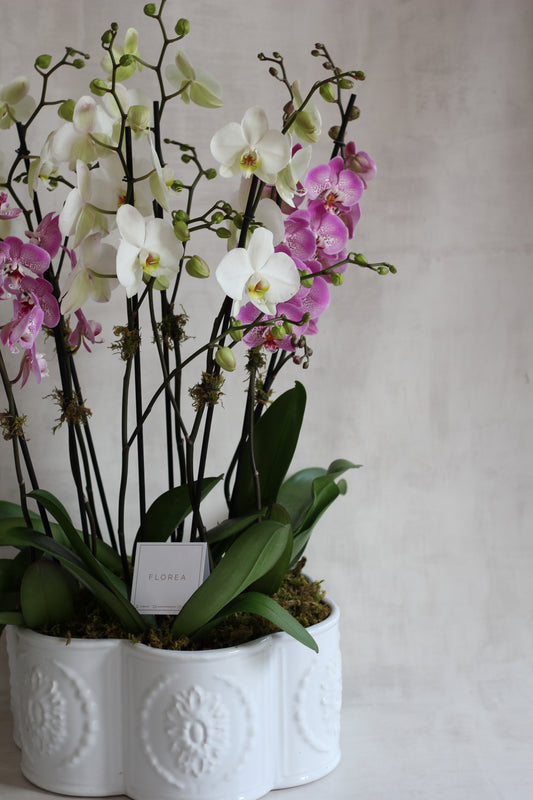 Rústico