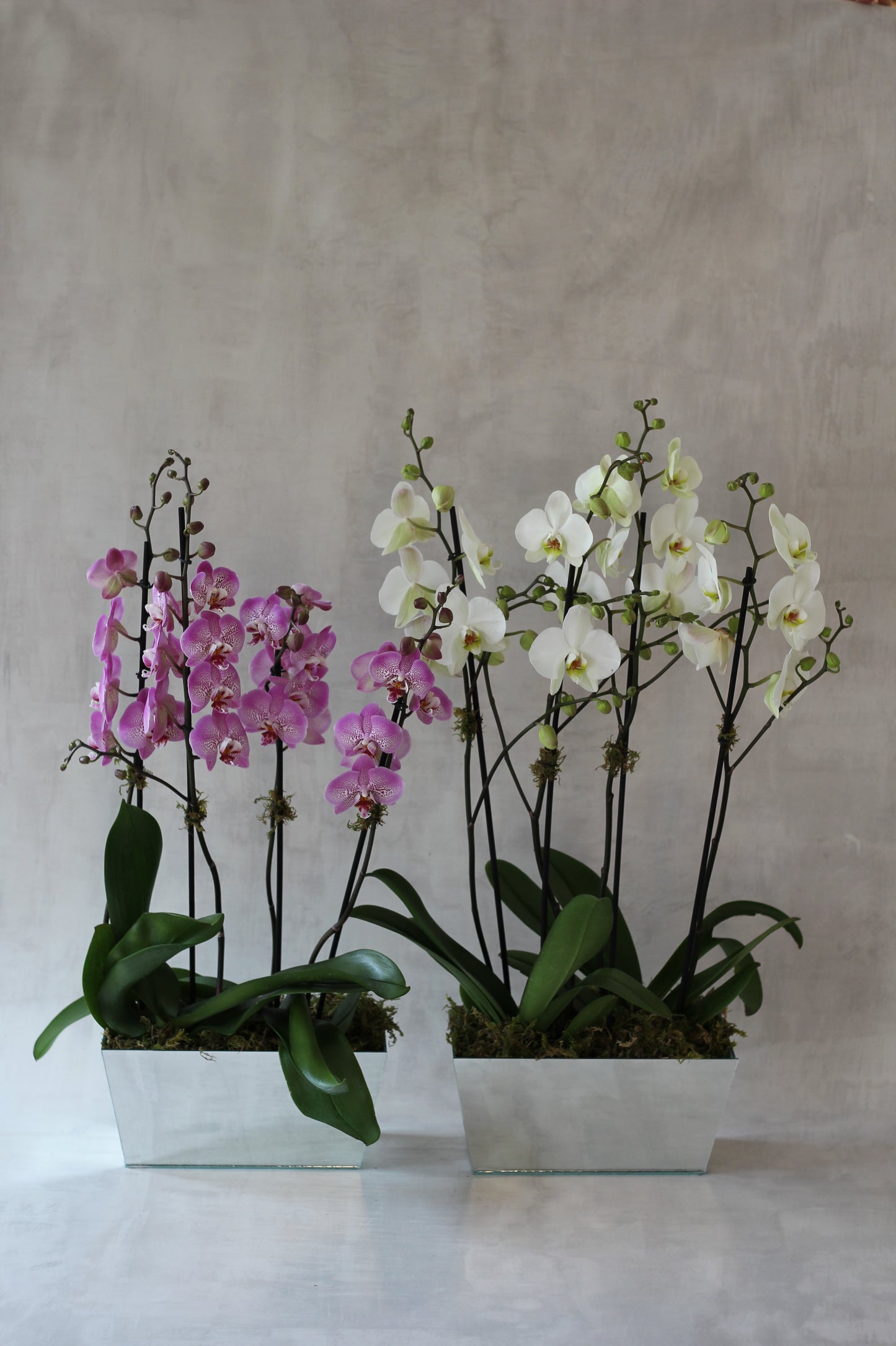 Jardinera Espejo