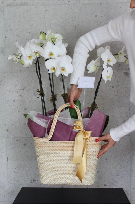 Bolsa Palma