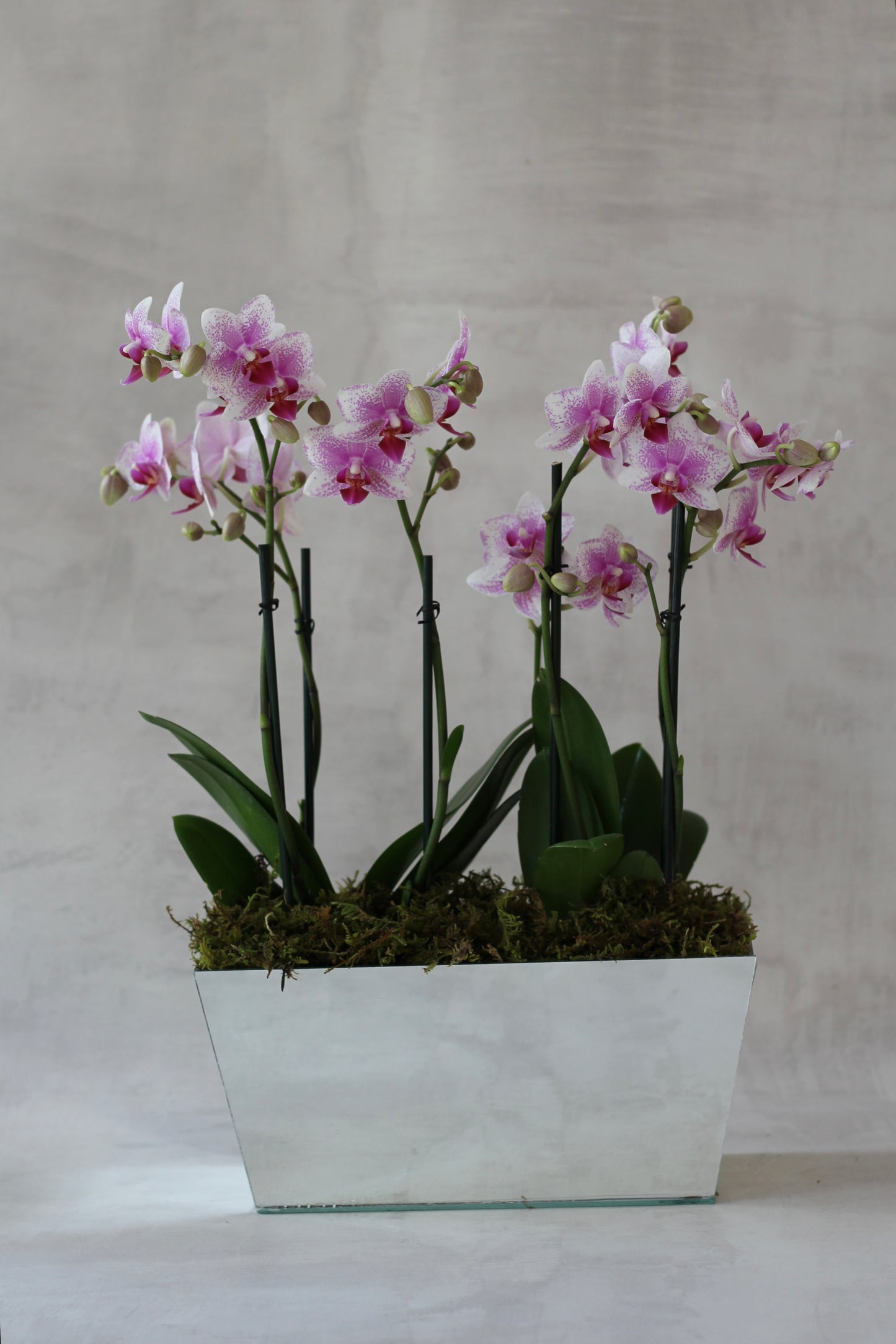 Jardinera Espejo 2