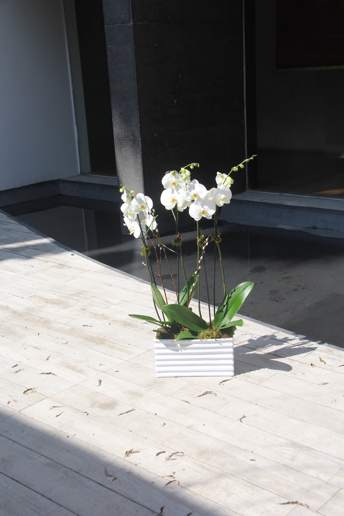 Jardinera 3