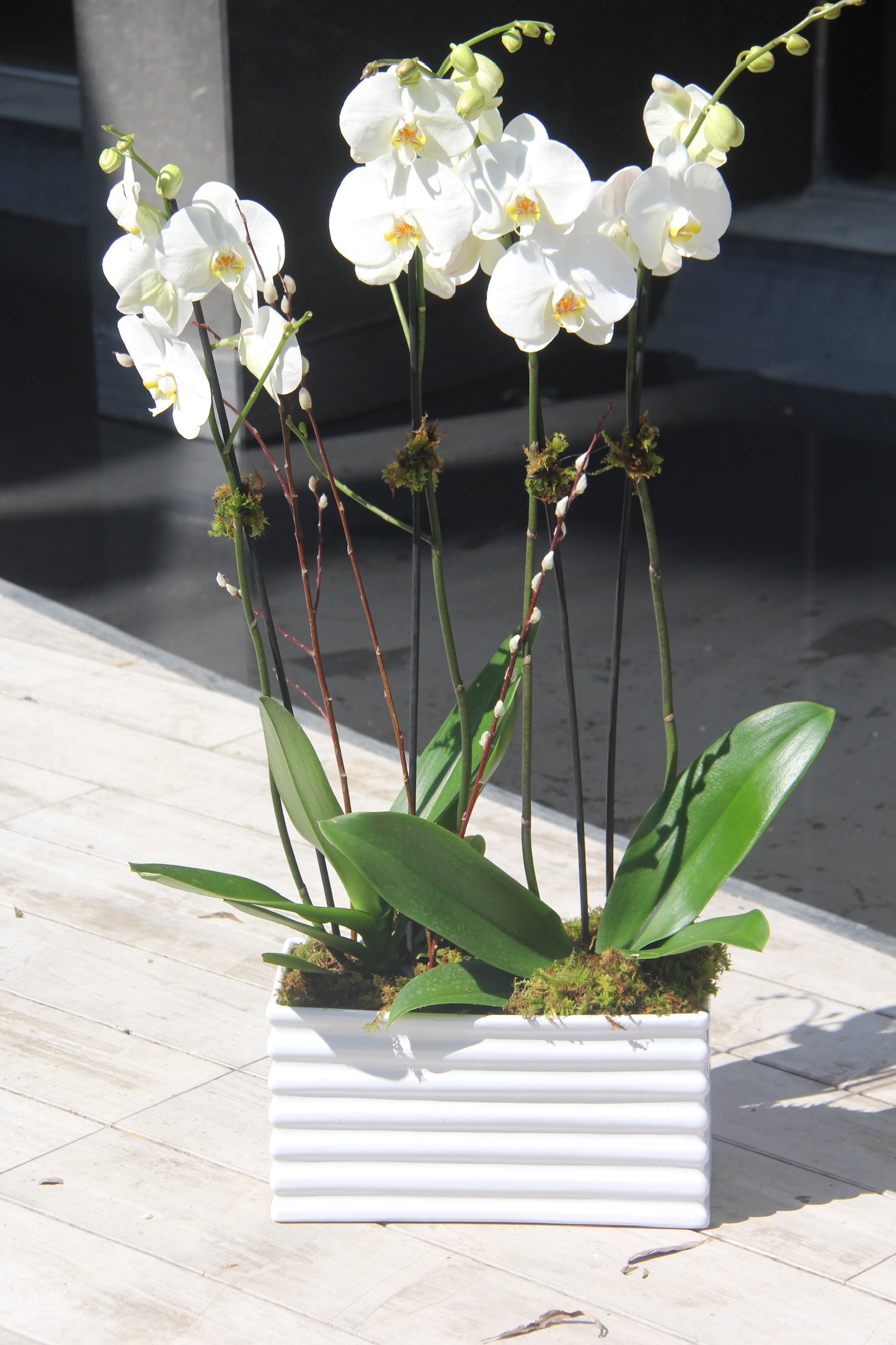 Jardinera 3