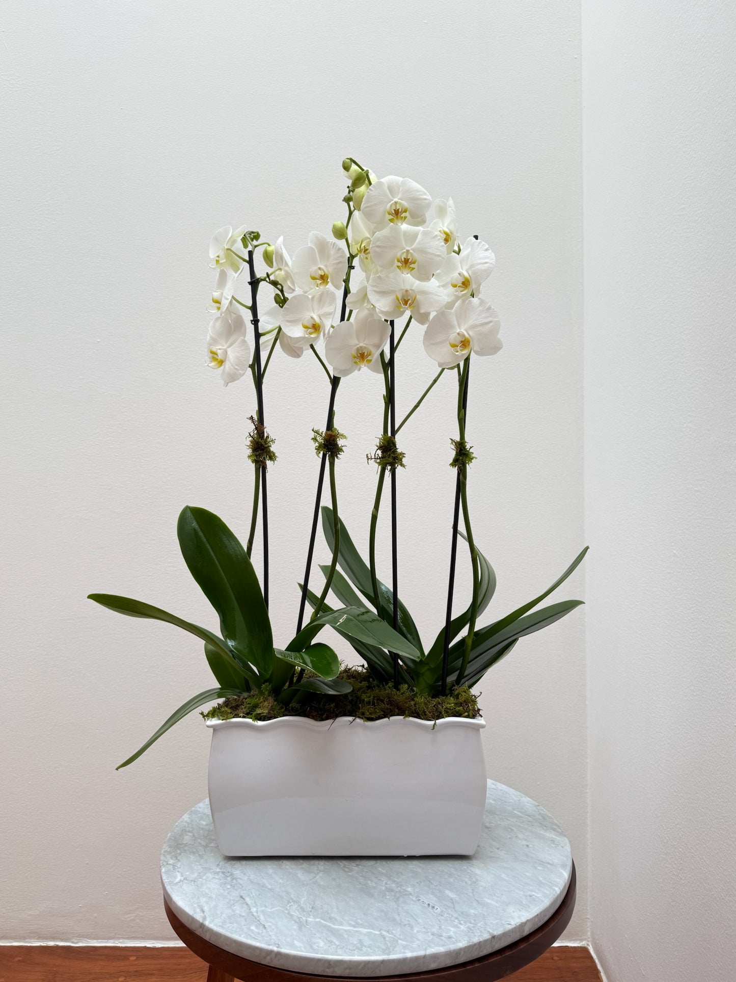 Jardinera 2