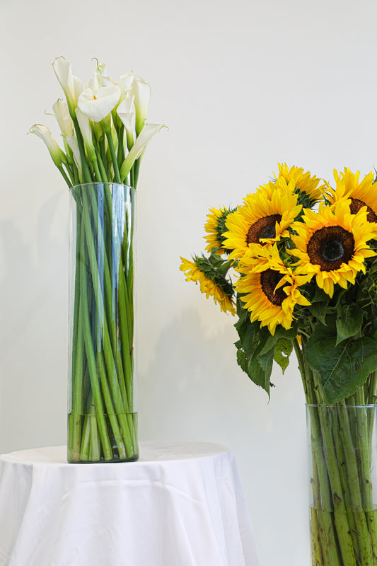 Girasoles / Alcatraces