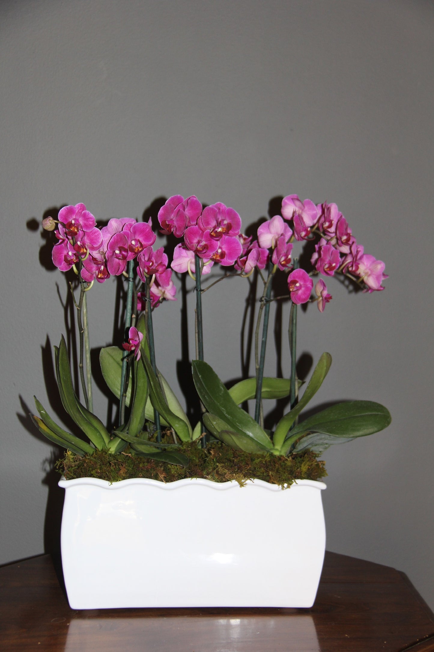 Jardinera Minis