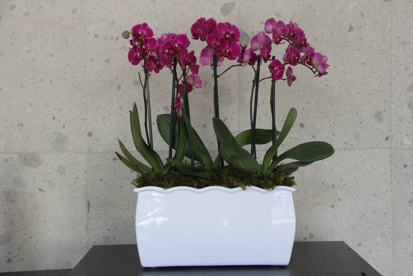 Jardinera Minis